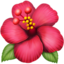木槿