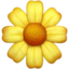花朵