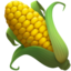 玉米