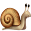 蜗牛