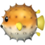 鱼