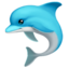 海豚