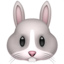 兔子