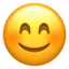 微笑