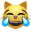 猫笑哭