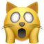 猫惊