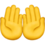 掌心向上