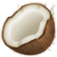 椰子