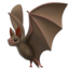 蝙蝠