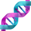DNA