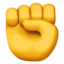 举拳